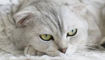 开云体育APP——让运动与激情无处不在