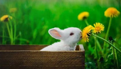 开云体育APP——让运动与激情无处不在